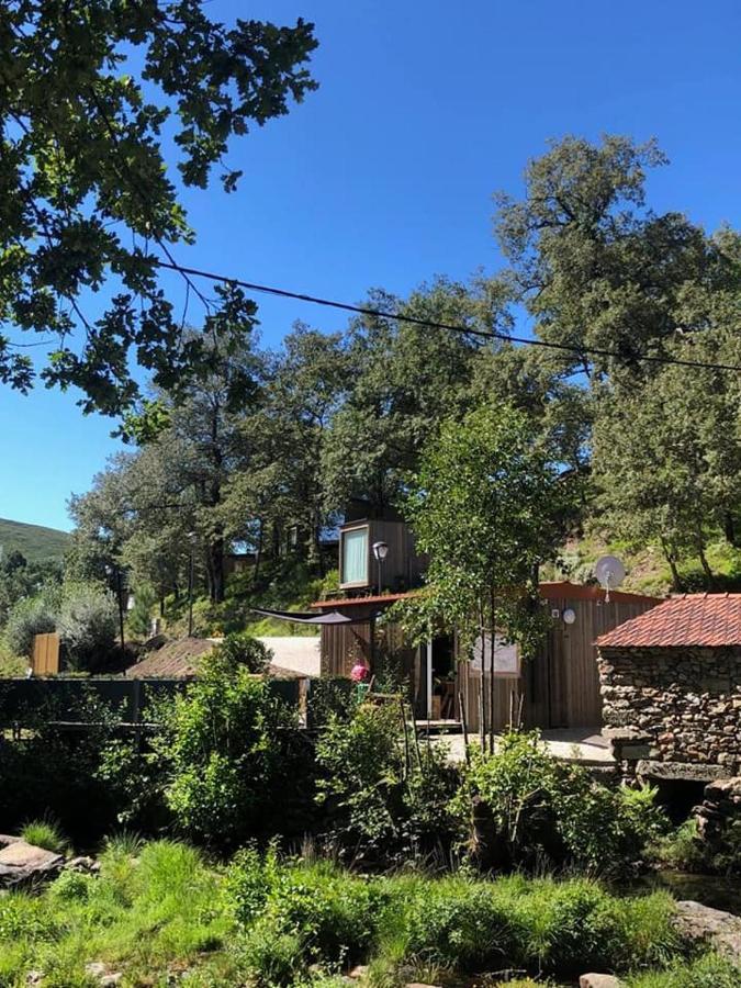 Villa Ninho Da Avo Selvagem Montalegre Exterior foto