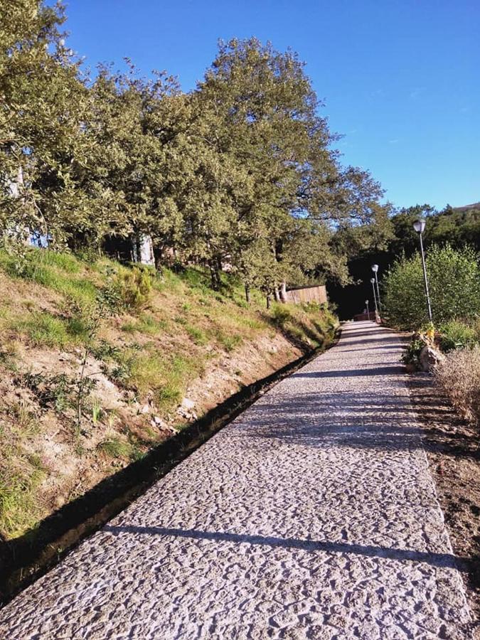 Villa Ninho Da Avo Selvagem Montalegre Exterior foto